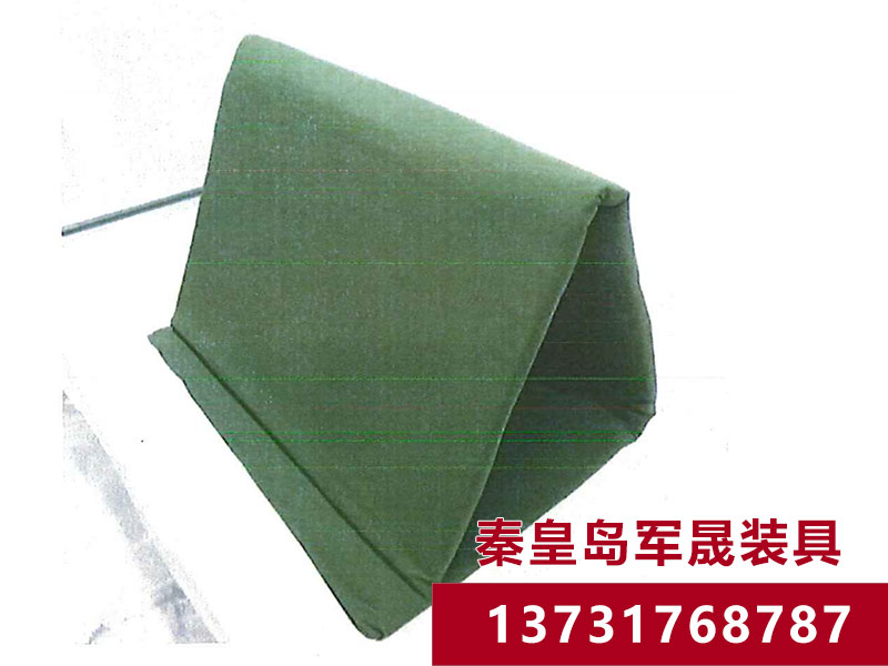 Ӧ��רҵ������