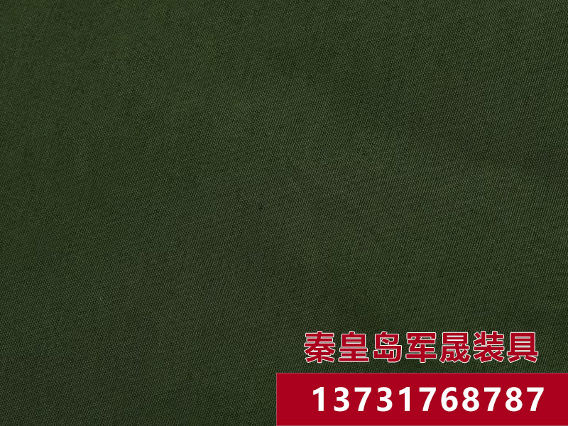 Ӧ��רҵ������